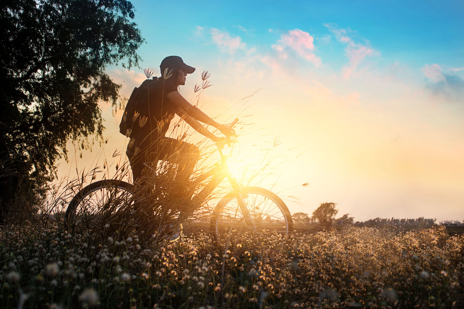 Mit dem Mountainbike in einem Feld voller Blumen beim Sonnenuntergang